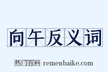 向午反义词是什么意思的图片